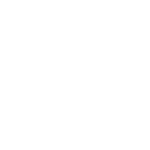 Fender